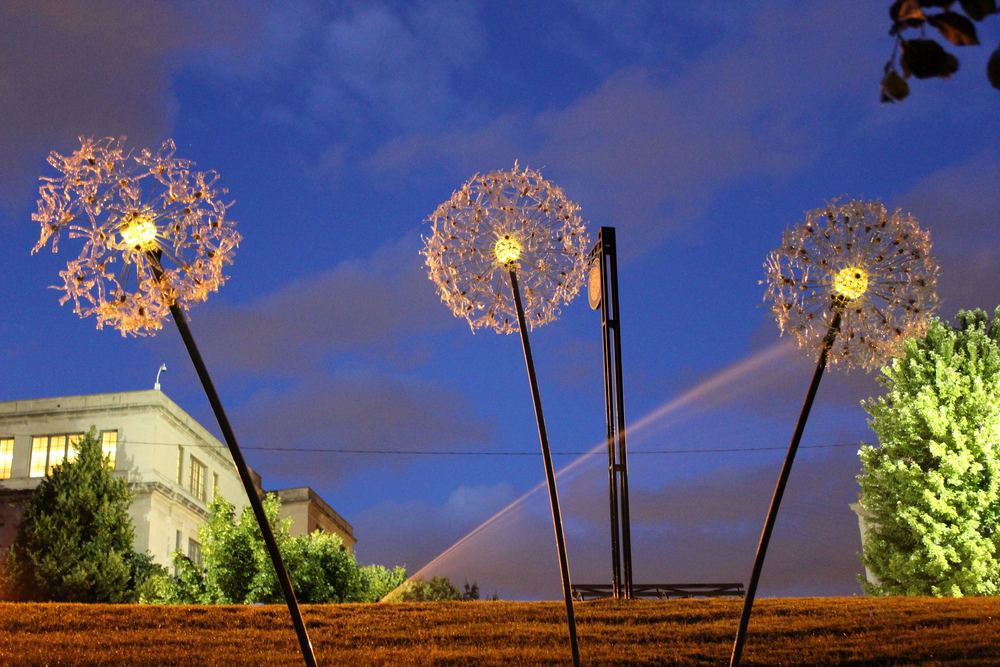Three giant dandelion seedhead sculptures on tall stems against a deep blue sky, a sprinkler throwing water beneath them.