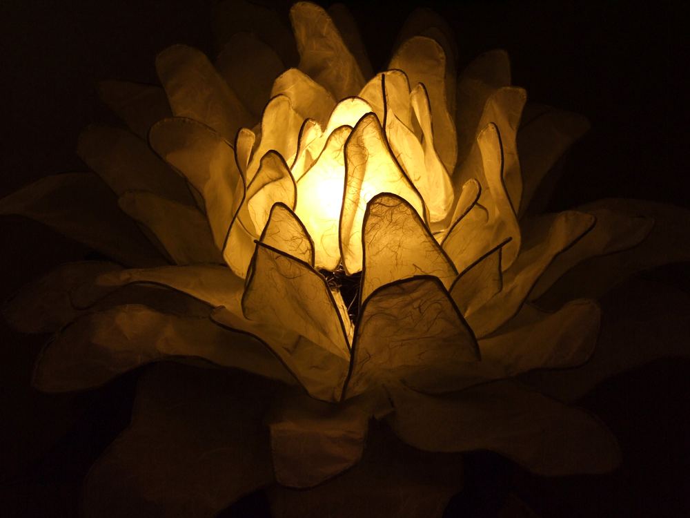 A large paper flower lantern glowing from the inside, its petals translucent against a dark background.