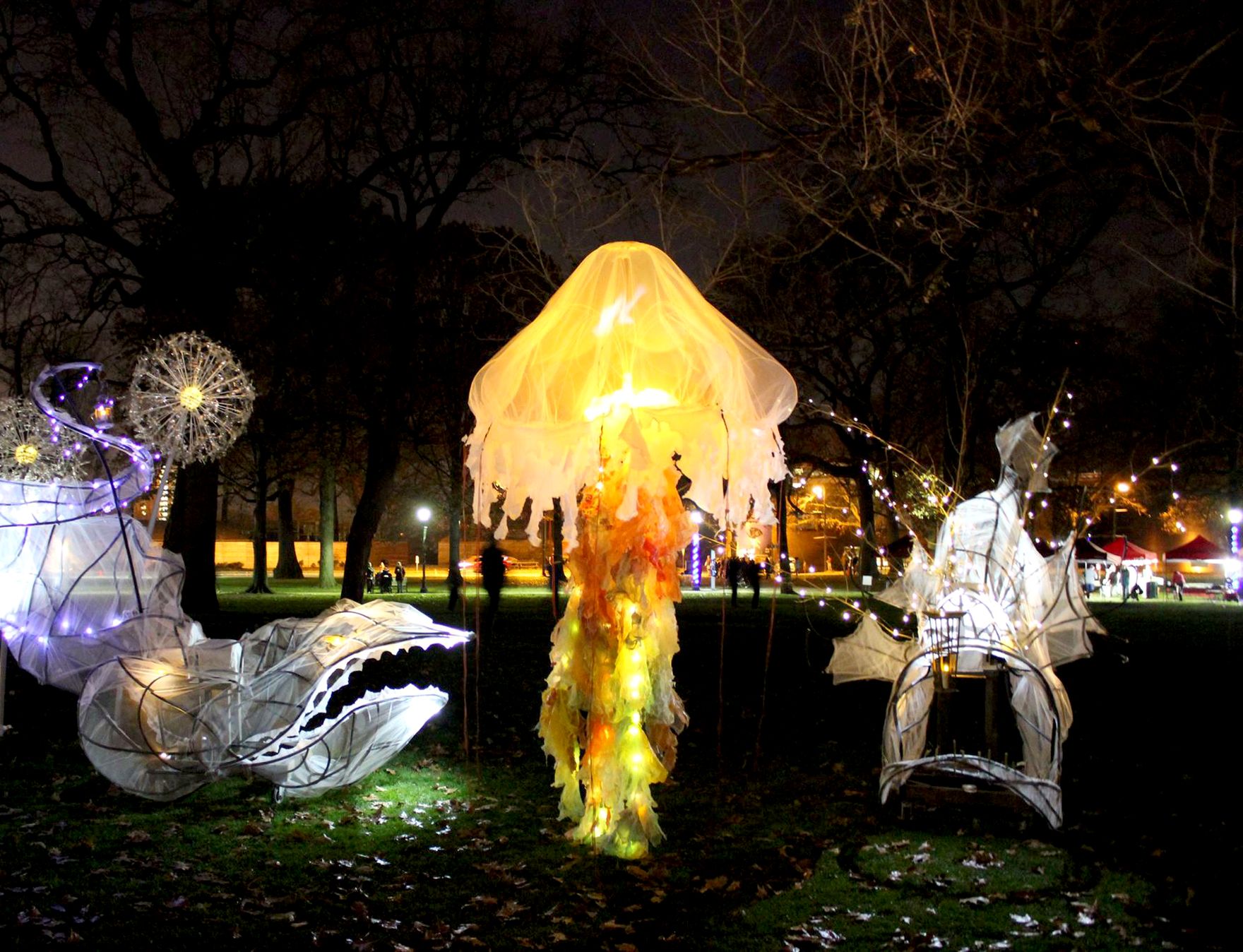 A field of lit lantern sculptures at night: a glowing jellyfish, two dandelions and a long-jawed fish standing among bare trees.