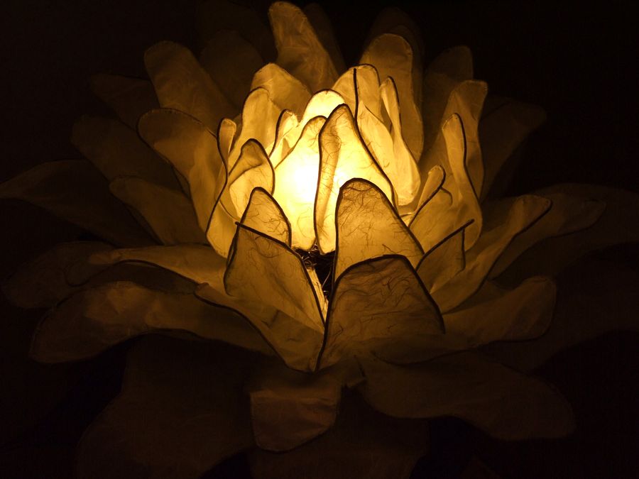 A large paper flower lantern glowing from the inside, its petals translucent against a dark background.